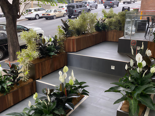 Commercial Office Garden: Brisbane