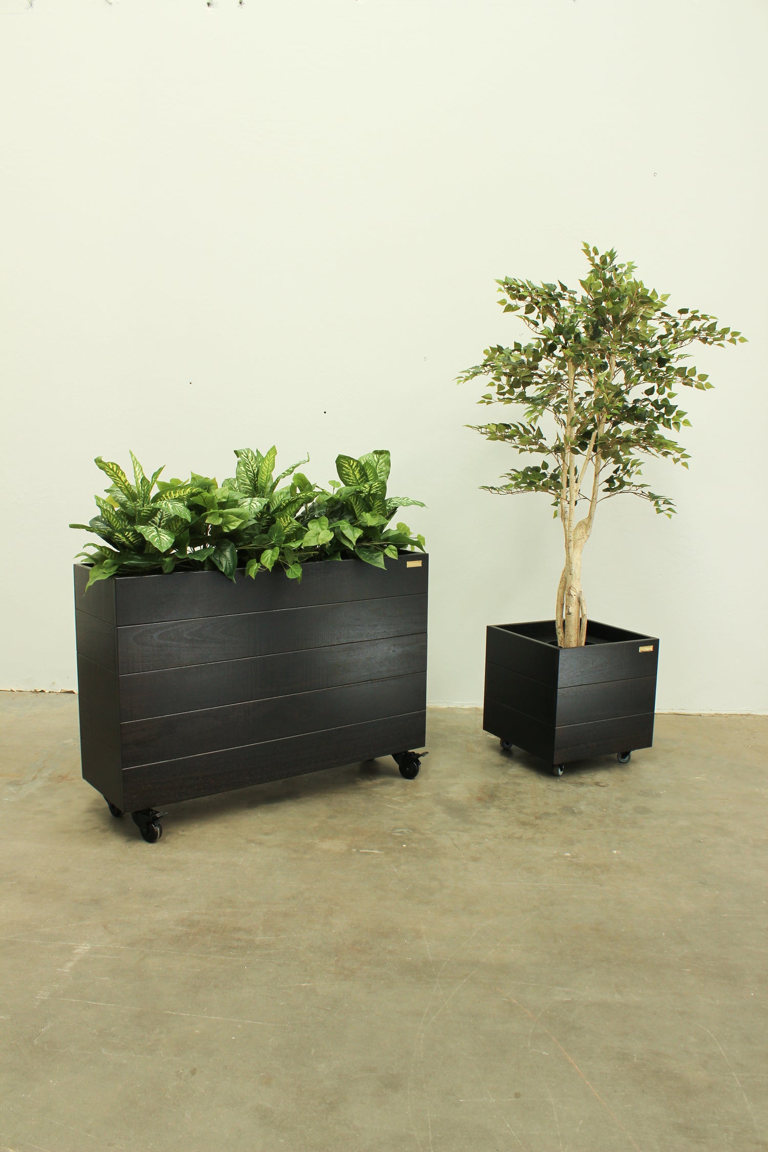 Indoor Planter Packages